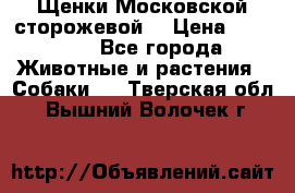Щенки Московской сторожевой  › Цена ­ 25 000 - Все города Животные и растения » Собаки   . Тверская обл.,Вышний Волочек г.